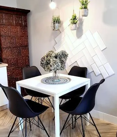 Wild & Huge Comfy 5 Min To Main Square *